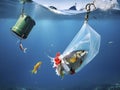 Plastic Peril: A Stark Reminder of Environmental Pollution as Fish Struggle in Polluted Waters