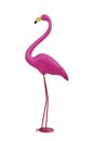 Plastic pink flamingo on white background