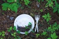 Plastic plate and forks on the ground left in the forest Royalty Free Stock Photo