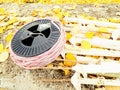 Plastic poles with metal spike use for cows electric fence Royalty Free Stock Photo