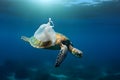 Plastic pollution concept showing turtle and plastic bag swimming in ocean