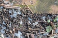 Plastic pollution. Degraded brittle plastic as a garden soil pollutant