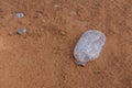 Plastic pollution in the desert sand. Need for awareness of environmental protection, recycling, and protecting the world. Royalty Free Stock Photo