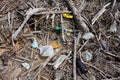 Plastic pollution in drift wood debris Royalty Free Stock Photo