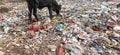 Plastic pollution in India . Dumping side in india. Royalty Free Stock Photo