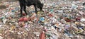 Plastic pollution in India . Dumping side in india.