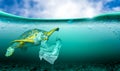 Plastic pollution in marine environmental problems Animals in the sea cannot live. And cause plastic pollution in the ocean