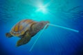 Plastic pollution in ocean environmental problem. Turtles can eat plastic tube mistaking them for food. Travel trips recreation