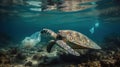 Plastic Pollution In Ocean - Turtle Eat Plastic Bag - Environmental Problem Royalty Free Stock Photo