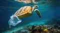 Plastic Pollution In Ocean - Turtle Eat Plastic Bag - Environmental Problem Royalty Free Stock Photo