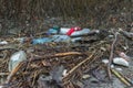 Plastic polution of rivers Somesul Mare and Somesul Mic from ROMANIA