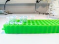 Plastic rack with eppendorf tubes in a laboratory on a working bench. Samples in eppendorf tubes with samples. Royalty Free Stock Photo