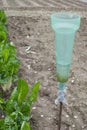 Plastic rain gauge in the orchard