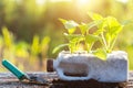 Plastic recycle concept : People planting vegetable in plastic b