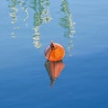 Plastic red bouy on a calm lake isolated on blue background Royalty Free Stock Photo