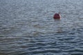 Plastic red buoy on a sea with small waves Royalty Free Stock Photo