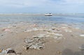 Plastic Rubbish washed up on a beach Royalty Free Stock Photo