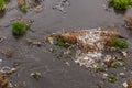Plastic rubbish in Zanja Rud river in Ir Royalty Free Stock Photo