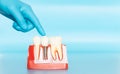 Plastic samples of dental implants compare with natural teeth Royalty Free Stock Photo