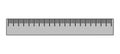 Plastic school drawing ruler on a white background