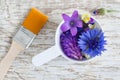 Plastic scoop with various field flowers and cosmetic brush. Ingredients of natural cosmetic.