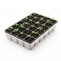 Plastic seedling tray isolated on white background Royalty Free Stock Photo