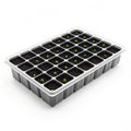 Plastic seedling tray isolated on white background Royalty Free Stock Photo