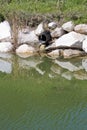 Plastic sewage pipe on a small stream