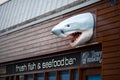 Plastic Shark head in Carmarthen Royalty Free Stock Photo