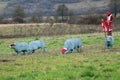 4 plastic sheep and a shephard dressed in red