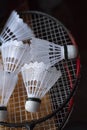 Plastic shuttlecocks on badminton rackets Royalty Free Stock Photo