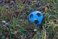 plastic soccer ball in grass Royalty Free Stock Photo