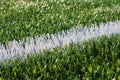 Plastic Soccer Grass Royalty Free Stock Photo