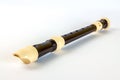 Plastic soprano recorder flute Royalty Free Stock Photo