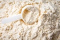 Plastic spoon in protein powder Royalty Free Stock Photo