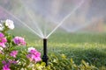 Plastic sprinkler irrigating flower bed on grass lawn with water in summer garden. Watering green vegetation duging dry season for Royalty Free Stock Photo