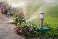 Plastic sprinkler irrigating flower bed on grass lawn with water in summer garden. Watering green vegetation duging dry season for Royalty Free Stock Photo