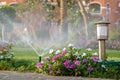 Plastic sprinkler irrigating flower bed on grass lawn with water in summer garden. Watering green vegetation duging dry season for Royalty Free Stock Photo