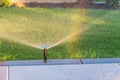 Automatic garden lawn sprinkler in action watering green grass Royalty Free Stock Photo