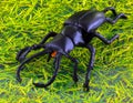A plastic toy stag beetle Royalty Free Stock Photo