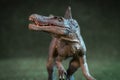 Plastic statuette of velociraptor studio shot Royalty Free Stock Photo