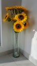 Plastic sunflowers decorating the corner of the house Royalty Free Stock Photo