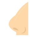 Plastic surgery of nose icon isolated