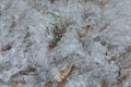 plastic texture from a piece of crumpled dirty white gray cellophane from a package