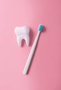 A plastic toothbrush next to a big tooth on a pink background. Oral hygiene. Flat lay, top view Royalty Free Stock Photo