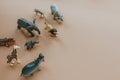 Plastic toy figures of animals. concept of nature protection. space for text, top view Royalty Free Stock Photo