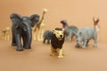 Plastic toy figures of animals. animals follow the lion. concept of nature protection. space for text, top view Royalty Free Stock Photo