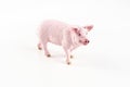 Plastic toy figurine of a pig on a white background. Royalty Free Stock Photo