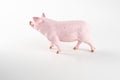 Plastic toy figurine of a pig on a white background. Royalty Free Stock Photo