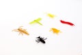 Plastic toy insect, orange beetle tick, green caterpillar, red centipede or millipede, black ant , isolated, close up. Royalty Free Stock Photo